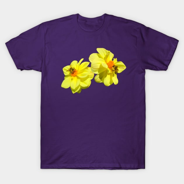 Dahlia Synchronicity T-Shirt by Seaprite